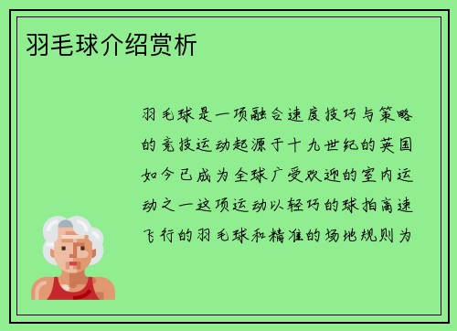羽毛球介绍赏析